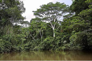日本东京涩谷开设一所电竞高中 明年春季开学